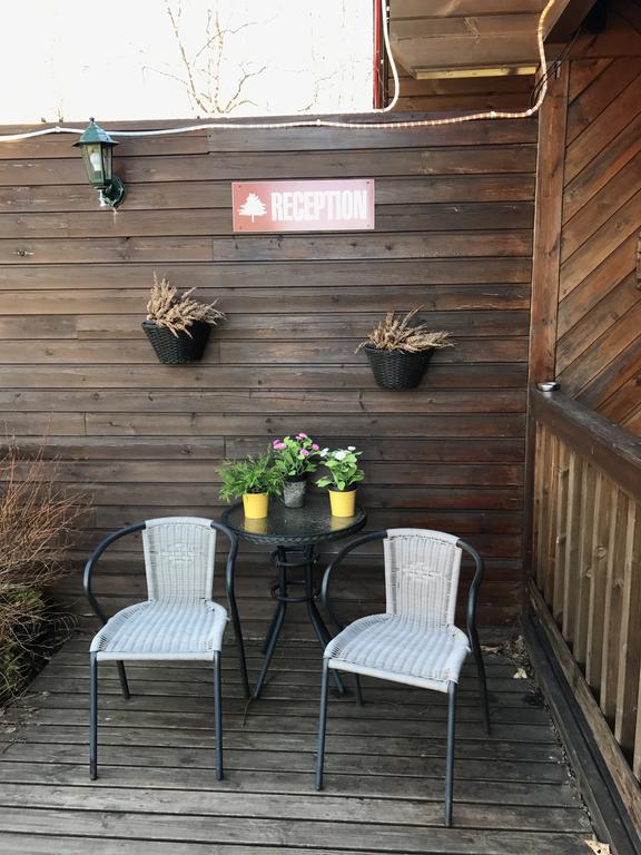 Blue Grove Guesthouse South Iceland Buitenkant foto