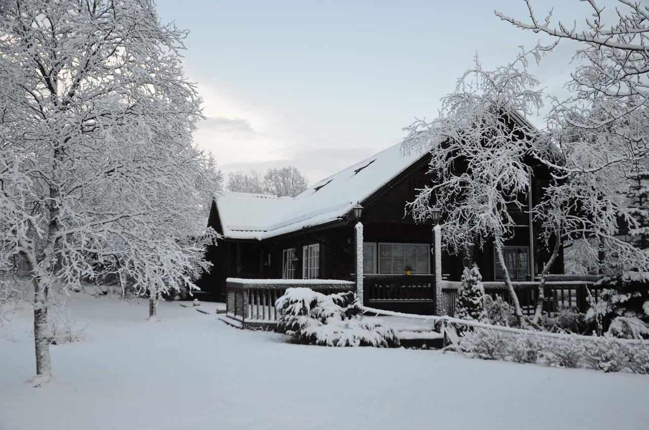 Blue Grove Guesthouse South Iceland Buitenkant foto
